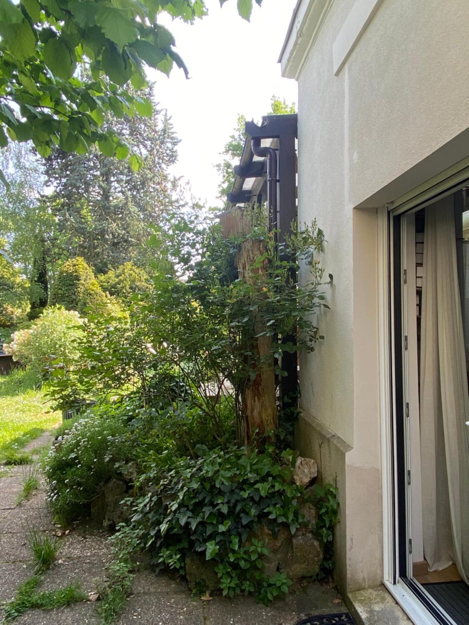 Les Charmettes Chambre D Hotes Villemoisson-Sur-Orge Extérieur photo