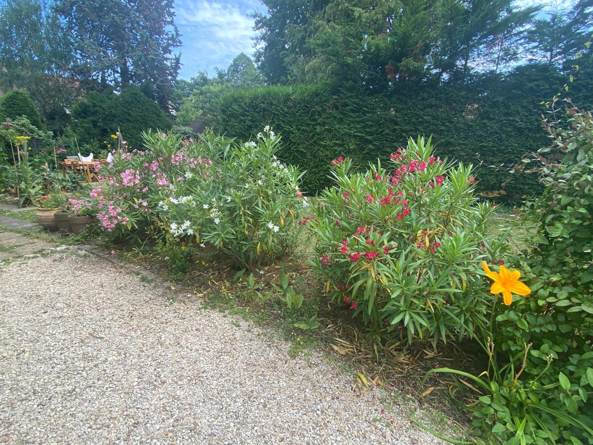 Les Charmettes Chambre D Hotes Villemoisson-Sur-Orge Extérieur photo
